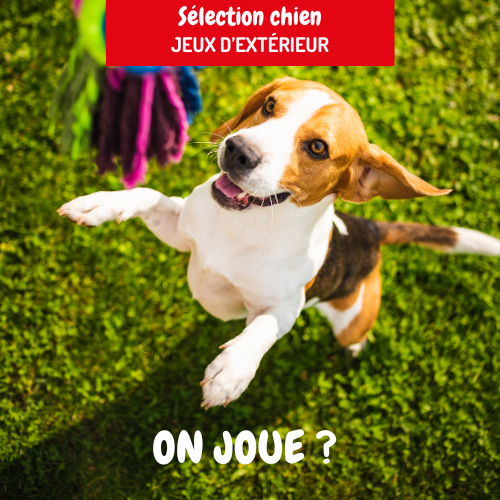 Bannière publicitaire sélection de jeux extérieur pour chiens