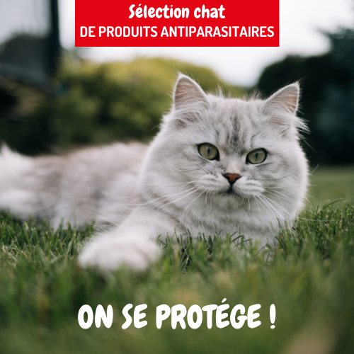 Bannière publicitaire produits antiparasitaires pour chats
