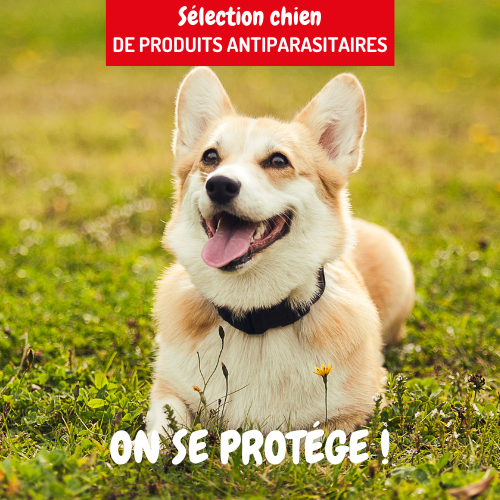 Bannière publicitaire produits antiparasitaires pour chiens
