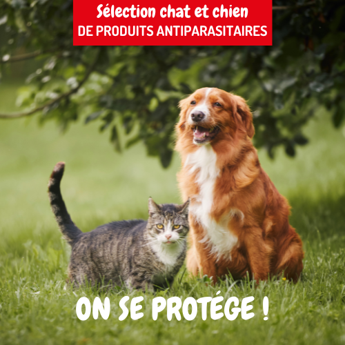 Bannière publicitaire produits antiparasitaires pour chats et chiens