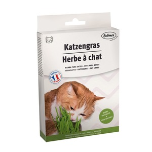 Herbe pour chat Bubimex 103932