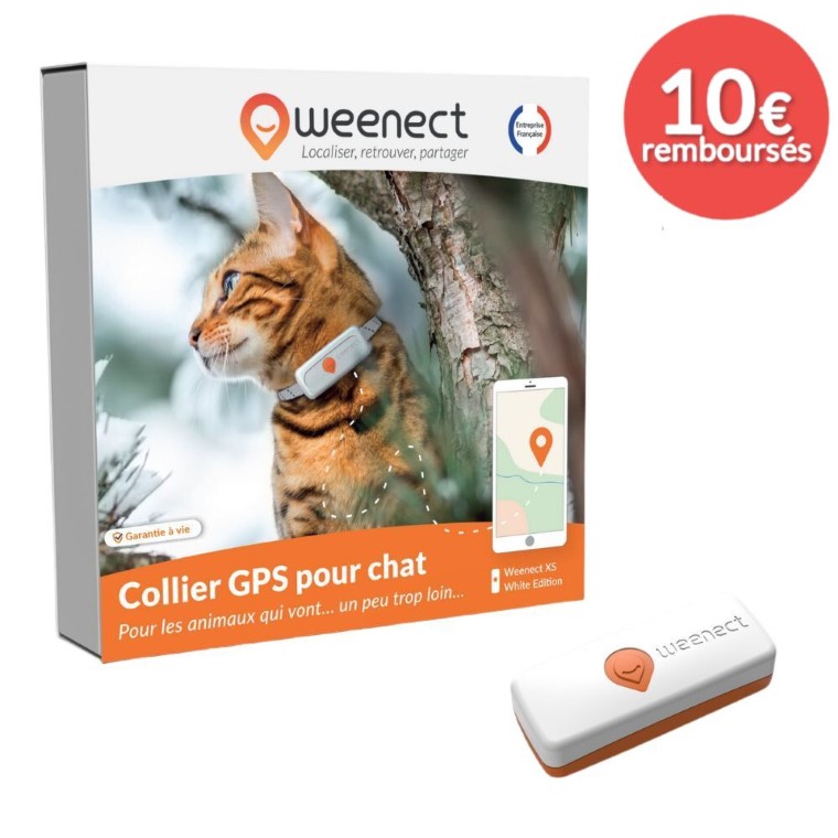 Sécurité Chat - Weenect GPS blanc XS – 60 X 23 X 12 mm 1018211