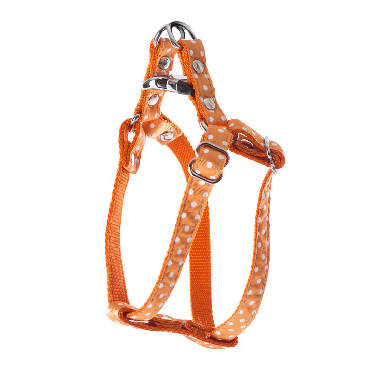 Harnais baudrier Pois pour chien coloris orange - XS 120256