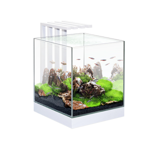 Aquarium Poisson - Ciano Nexus Pure Cube 25 Led blanc - 28 x 28 x 28 cm 225492