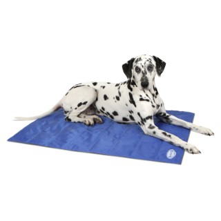 Couchage Chien – Scruffs Coussin Self-Cooling Bleu – Taille L 290121