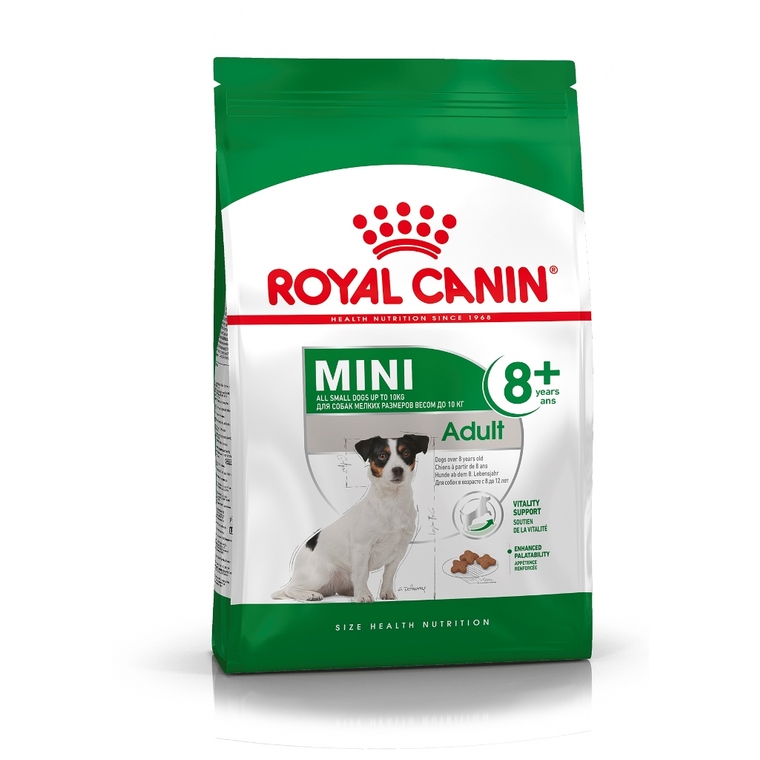 Croquettes Chien – Royal Canin Mini Adulte 8+ - 2 kg 204302