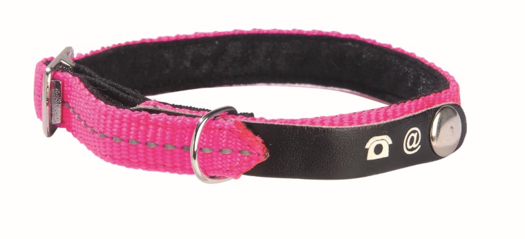 Collier chat - Bobby Collier Lost Taille XS Rose - 30 x 1 cm 257383