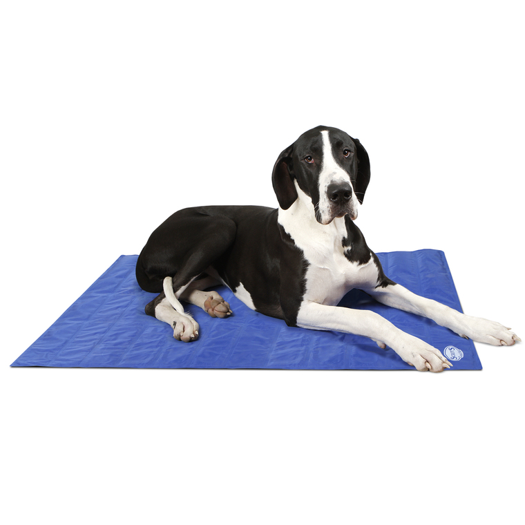 Couchage Chien – Scruffs Coussin Self-Cooling Bleu – Taille XL 290122
