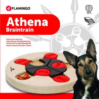 Jouet Chien - Flamingo stimulateur cérébral en bois Athena - Ø25 cm 304989