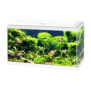 Aquarium Poisson – Ciano Aqua 60 Led blanc 330536