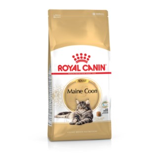 Croquettes Chat – Royal Canin Maine Coon – 2 kg 393398
