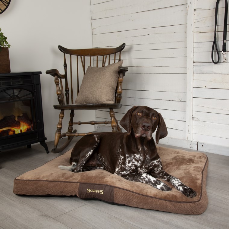 Couchage Chien – Scruffs Coussin Chester Marron – Taille L 374884