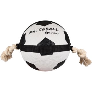 Jouet Chien - Ballon de foot Actionball 22 cm 436049