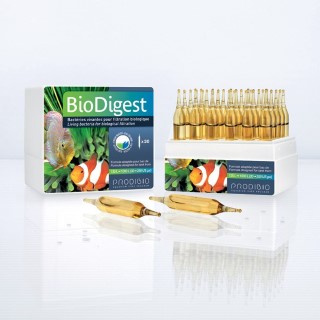 Traitement de l'eau - Prodibio BioDigest 30 ampoules 442578