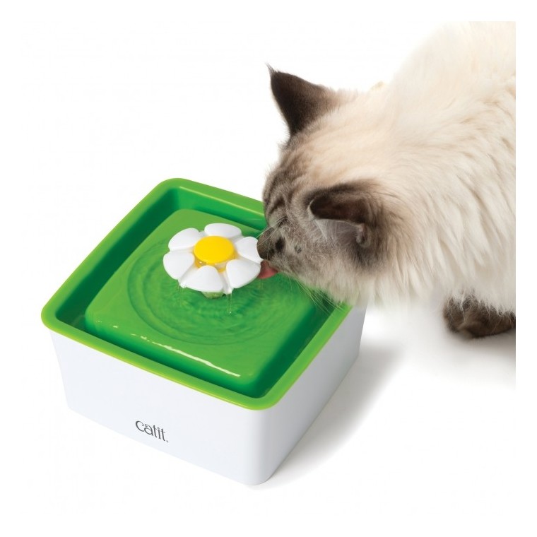 Distributeur Chat – Catit Fontaine à eau Flower Mini coloris vert – 1,5 litres 418827