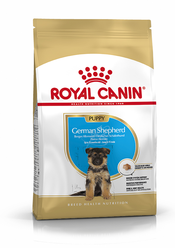 Croquette chien Royal Canin Berger Allemand Junior 12kg 491623