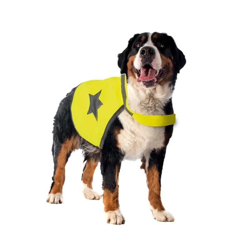 Gilet de sécurité jaune fluo pour chien 64 cm  Transport et sécurité chiens  - Médor et Compagnie®