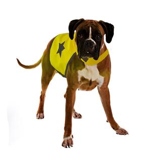 Gilet de sécurité jaune fluo pour chien 56 cm 535863