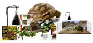 Habitat Reptile – Exoterra Kit Tortue Terrestre – 79 x 39 x 27 cm 585407