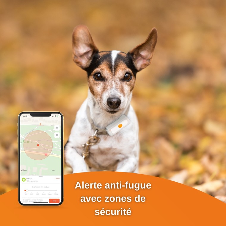 Weenect Dogs 2 – Traceur GPS pour chien 648690