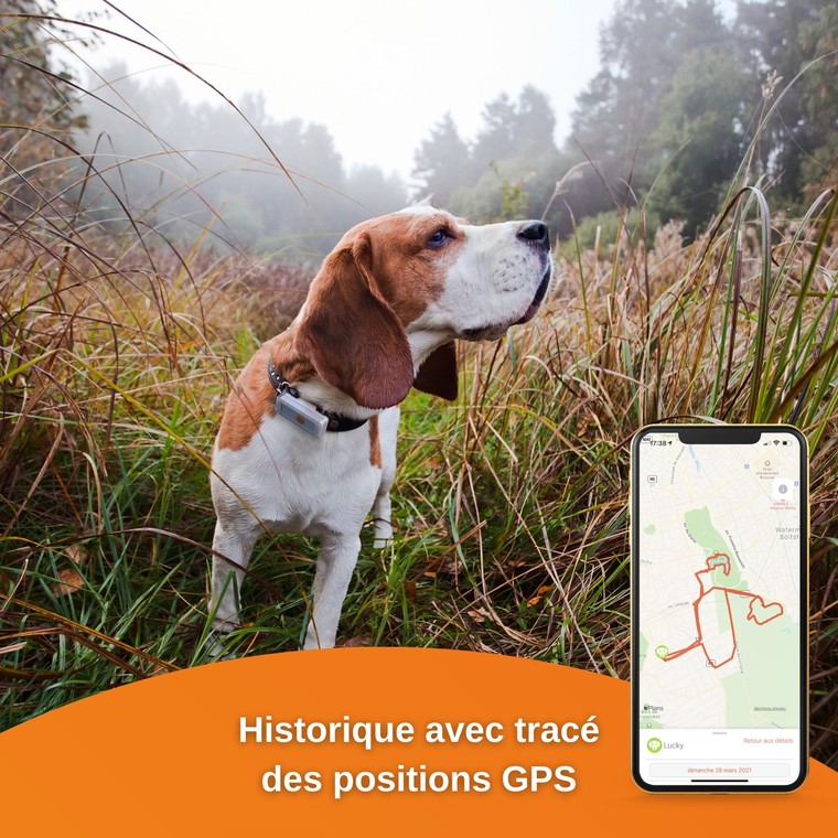 Weenect Dogs 2 – Traceur GPS pour chien 648690