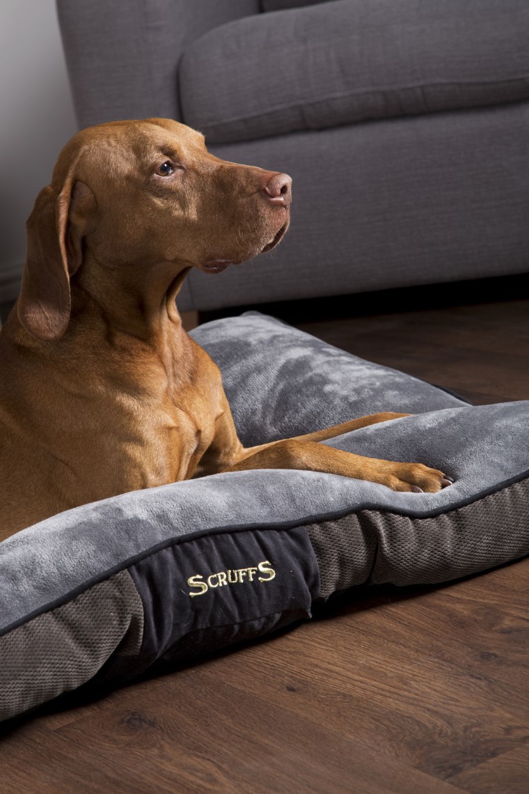 Couchage Chien – Scruffs Coussin Chester Gris – Taille M 673300