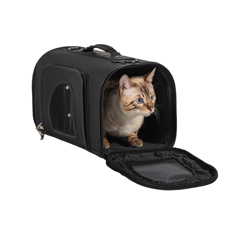 Sac de transport pour chien ou chat Cabin Bag - Noir - Kiabi - 17.90€