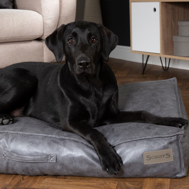 Couchage Chien – Scruffs Coussin Knightsbridge Gris – Taille M 700818