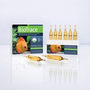 traitement de l'eau - prodibio biotrace - 6 ampoules