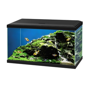 Aquarium Poisson - Ciano Aqua 60 Led Bio CF150 noir - 60 x 30 x 41 cm 895121