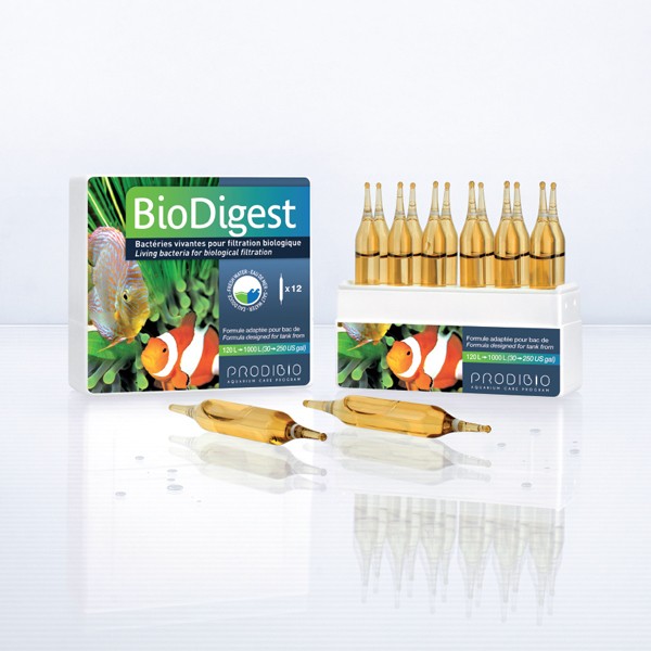 Traitement de l'eau - Prodibio BioDigest - 12 ampoules 849868