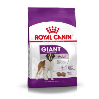 Croquettes Chien – Royal Canin Giant Adulte – 15 kg 923439