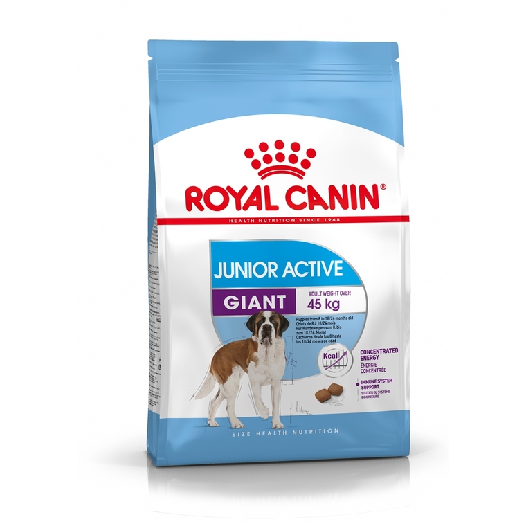 Croquettes Chien – Royal Canin Giant Junior – 15 kg 971614