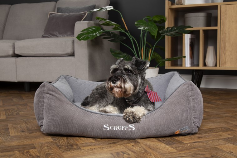 Couchage Chien - Scruffs Corbeille Thermal Taille S Gris - 50 x 40 cm 989415